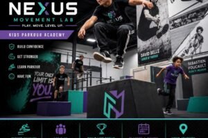 Nexus Graphic Design - Trustalyze Nexus Graphic Design