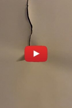 Trustalyze Cut Paper Capture Engage Convert