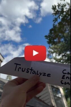 Trustalyze Capture Engage Convert Plane Flying Low